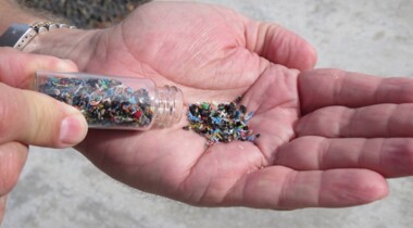 close up of hands dumping plastic chips from a vial into an open hand