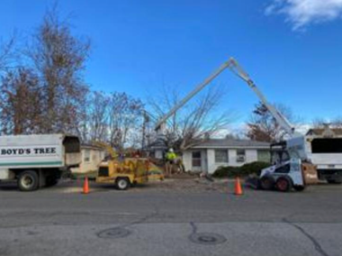 A lift with an arm pulling a fallen tree off a house