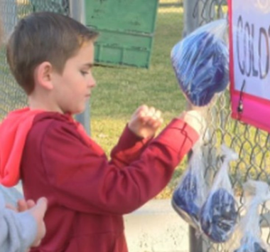 child placing gloves on a fence