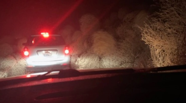 photo taken within a car of a car in front trapped in huge pile of tumbleweeds