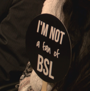 Shirt with button on it reading i am not a fan of bsl