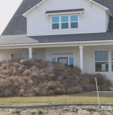 House with large mound of tumbleweeds stacked against the front door