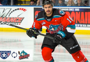 Americans hockey player in red jersey with helmet on and stick up