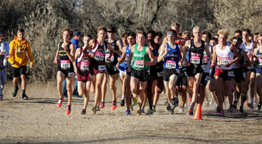 Cross country teams racing