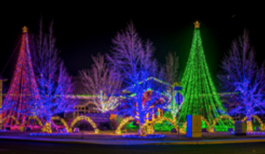 Senske holiday light show