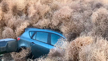 car stuck in tumbleweeds