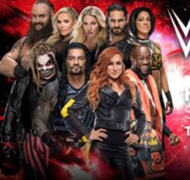 WWE members in costume