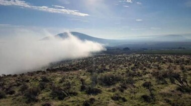 landscape view of Sagebrush covered field