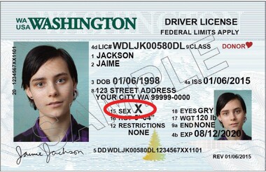 Mockup drivers' license with 'X' gender