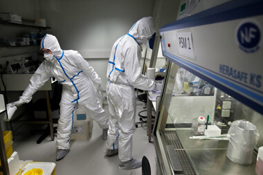 scientists working in a lab