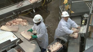 Two people working at the Tyson beef processing plant
